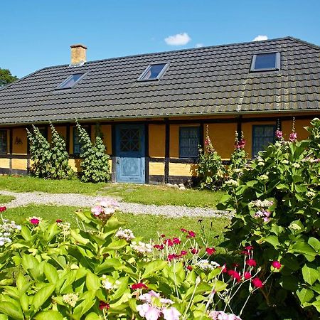 Mollegade 1 Holiday House Nordborg Εξωτερικό φωτογραφία