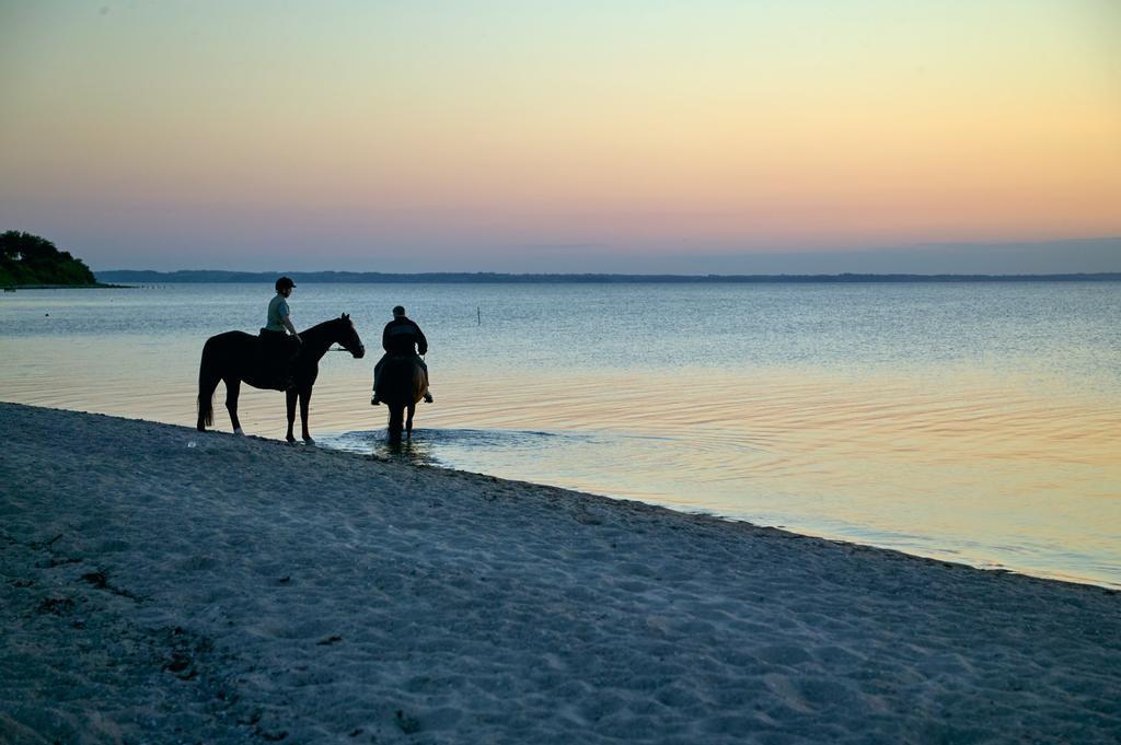 Mollegade 1 Holiday House Nordborg Εξωτερικό φωτογραφία
